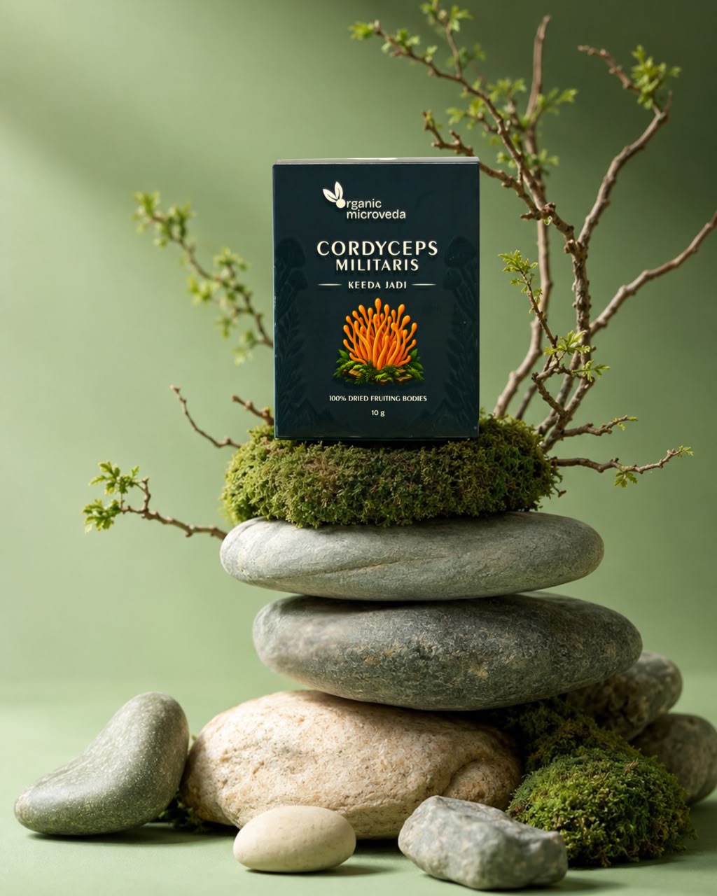 Cordyceps militaris - 10gm