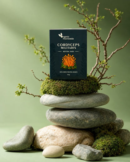 Cordyceps militaris