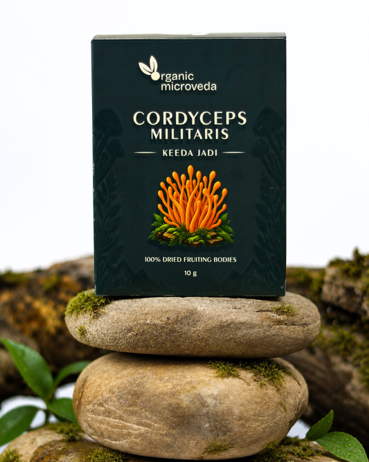 Cordyceps militaris