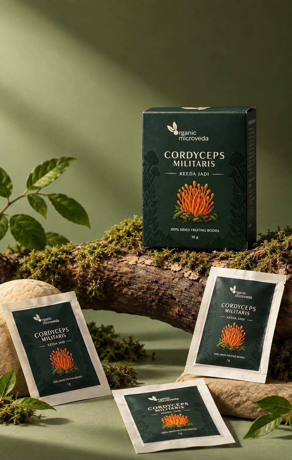 Cordyceps militaris