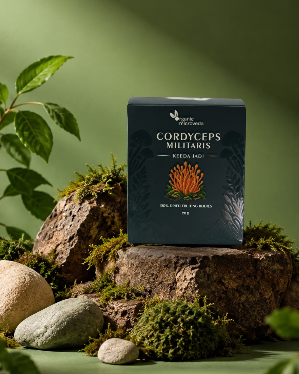 Cordyceps militaris